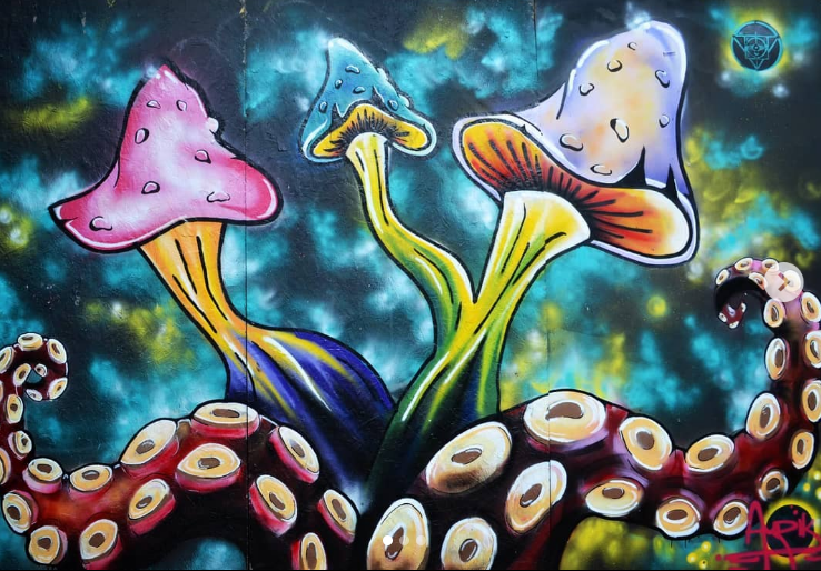 Octopus mushroom